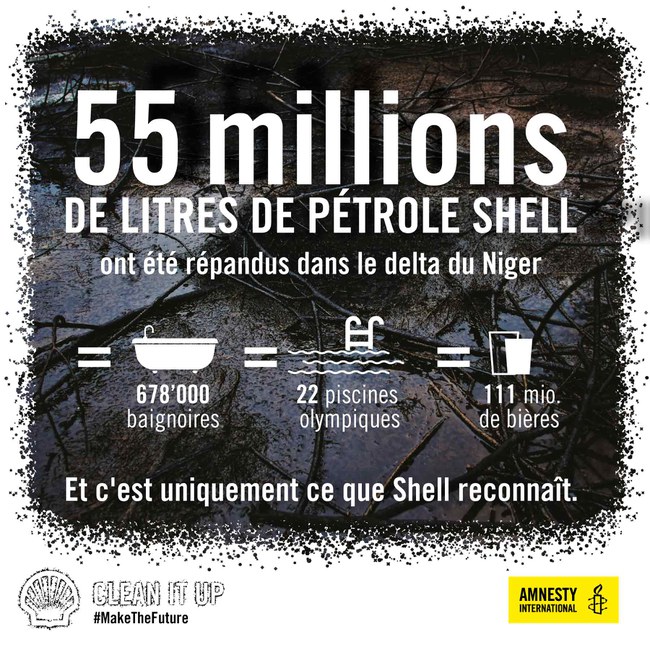 Delta Du Niger Pollution Pétrolière Les Fausses Déclarations De Shell — Amnestych